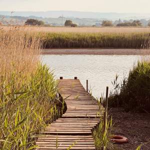 idyllic topsham